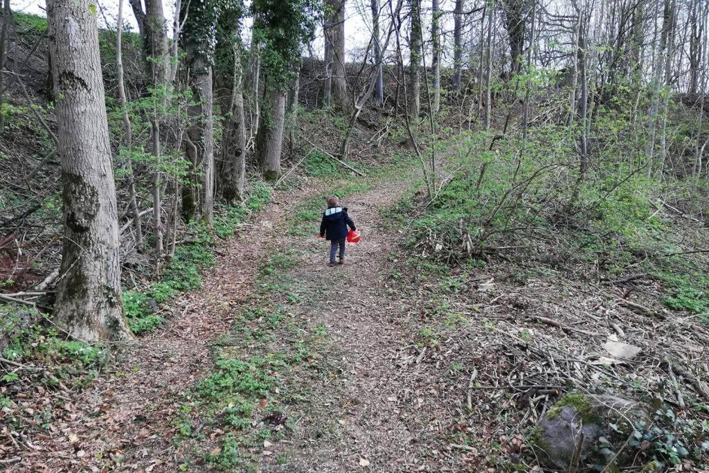 5Sterne Ferienwohnung Im Fachwerk Mit Bergblick In Alleinlage Und Grossem Garten, Infrarotkabine Humberg Екстериор снимка
