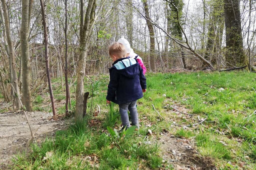 5Sterne Ferienwohnung Im Fachwerk Mit Bergblick In Alleinlage Und Grossem Garten, Infrarotkabine Humberg Екстериор снимка