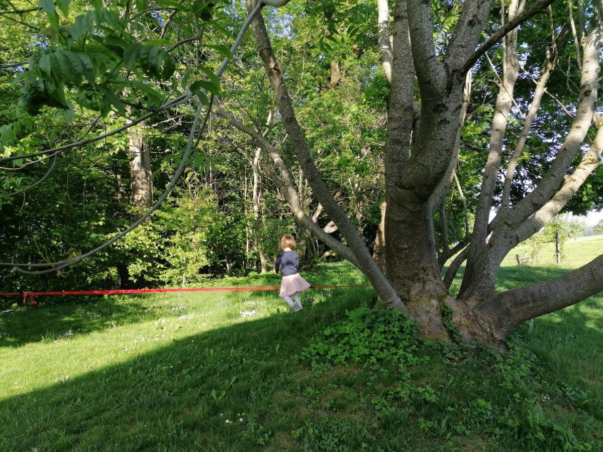 5Sterne Ferienwohnung Im Fachwerk Mit Bergblick In Alleinlage Und Grossem Garten, Infrarotkabine Humberg Екстериор снимка