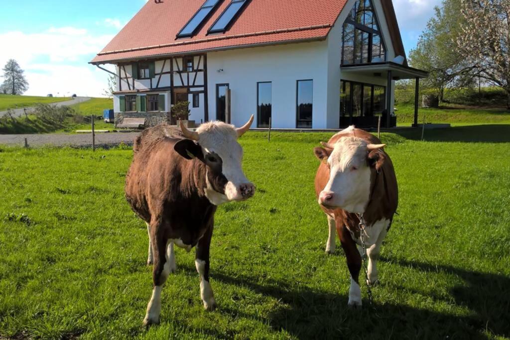 5Sterne Ferienwohnung Im Fachwerk Mit Bergblick In Alleinlage Und Grossem Garten, Infrarotkabine Humberg Екстериор снимка