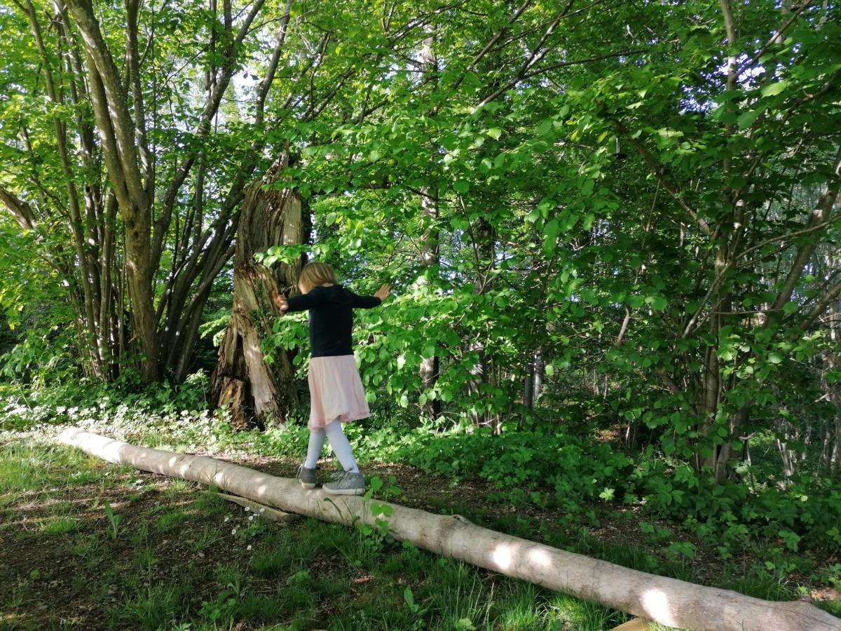 5Sterne Ferienwohnung Im Fachwerk Mit Bergblick In Alleinlage Und Grossem Garten, Infrarotkabine Humberg Екстериор снимка