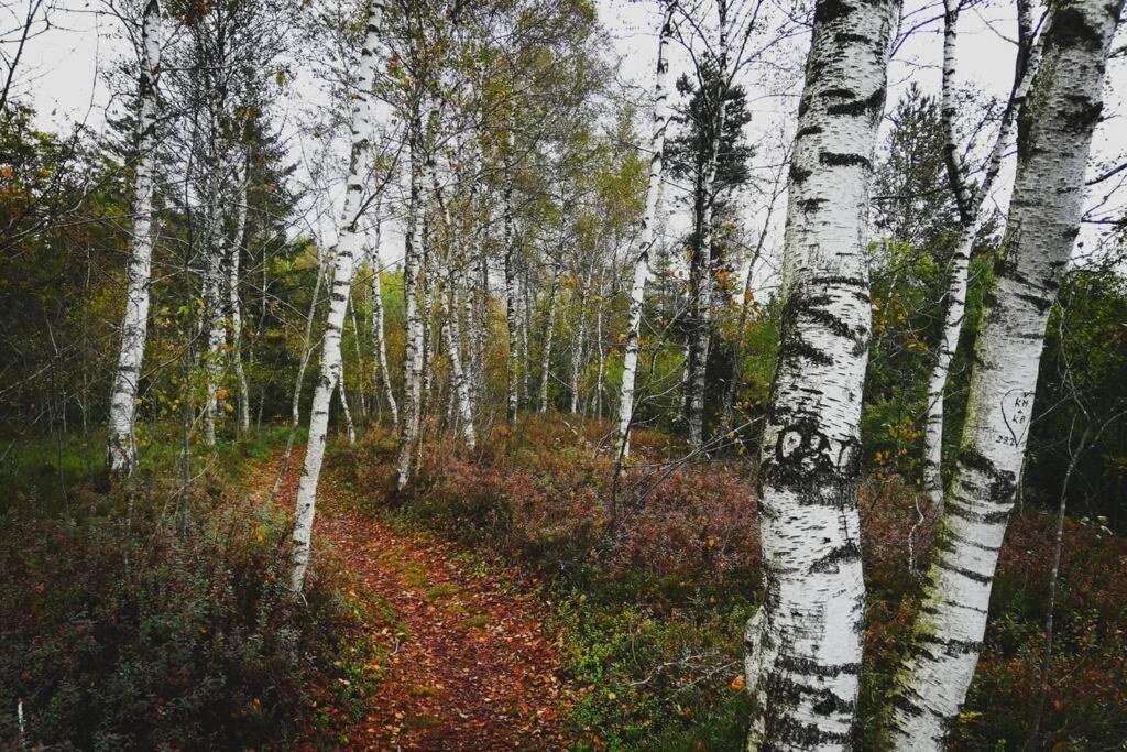 5Sterne Ferienwohnung Im Fachwerk Mit Bergblick In Alleinlage Und Grossem Garten, Infrarotkabine Humberg Екстериор снимка