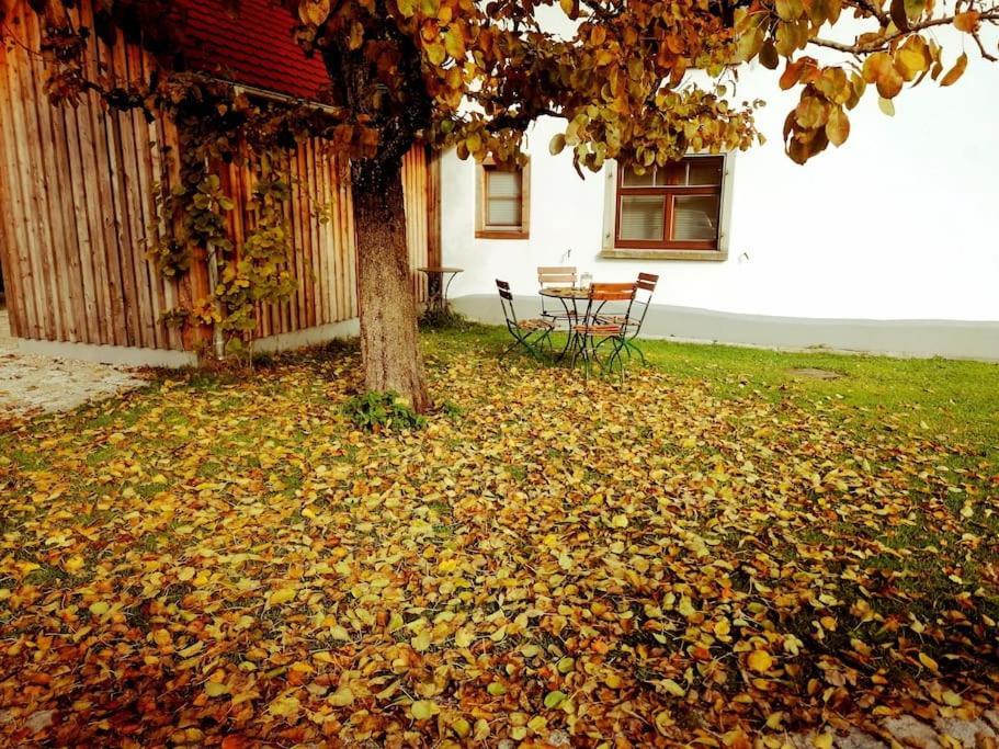 5Sterne Ferienwohnung Im Fachwerk Mit Bergblick In Alleinlage Und Grossem Garten, Infrarotkabine Humberg Екстериор снимка