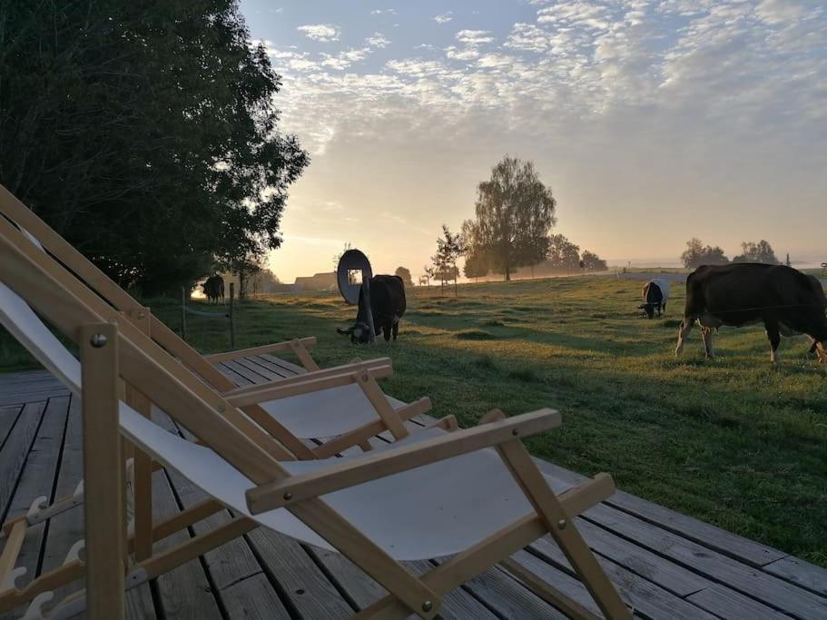 5Sterne Ferienwohnung Im Fachwerk Mit Bergblick In Alleinlage Und Grossem Garten, Infrarotkabine Humberg Екстериор снимка