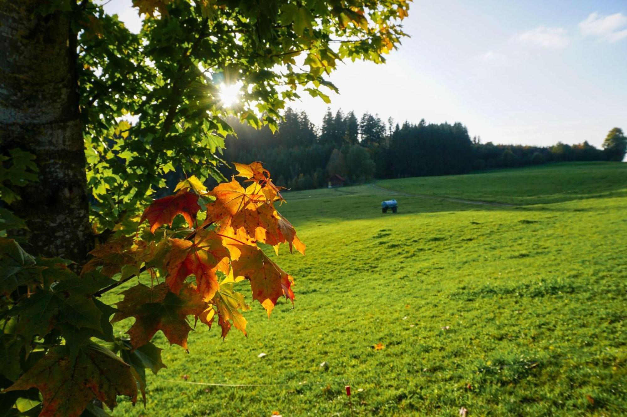 5Sterne Ferienwohnung Im Fachwerk Mit Bergblick In Alleinlage Und Grossem Garten, Infrarotkabine Humberg Екстериор снимка
